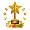 AWARD-WEBPRO (8)